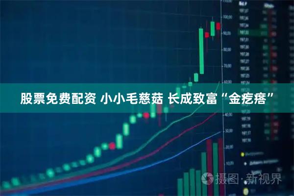 股票免费配资 小小毛慈菇 长成致富“金疙瘩”